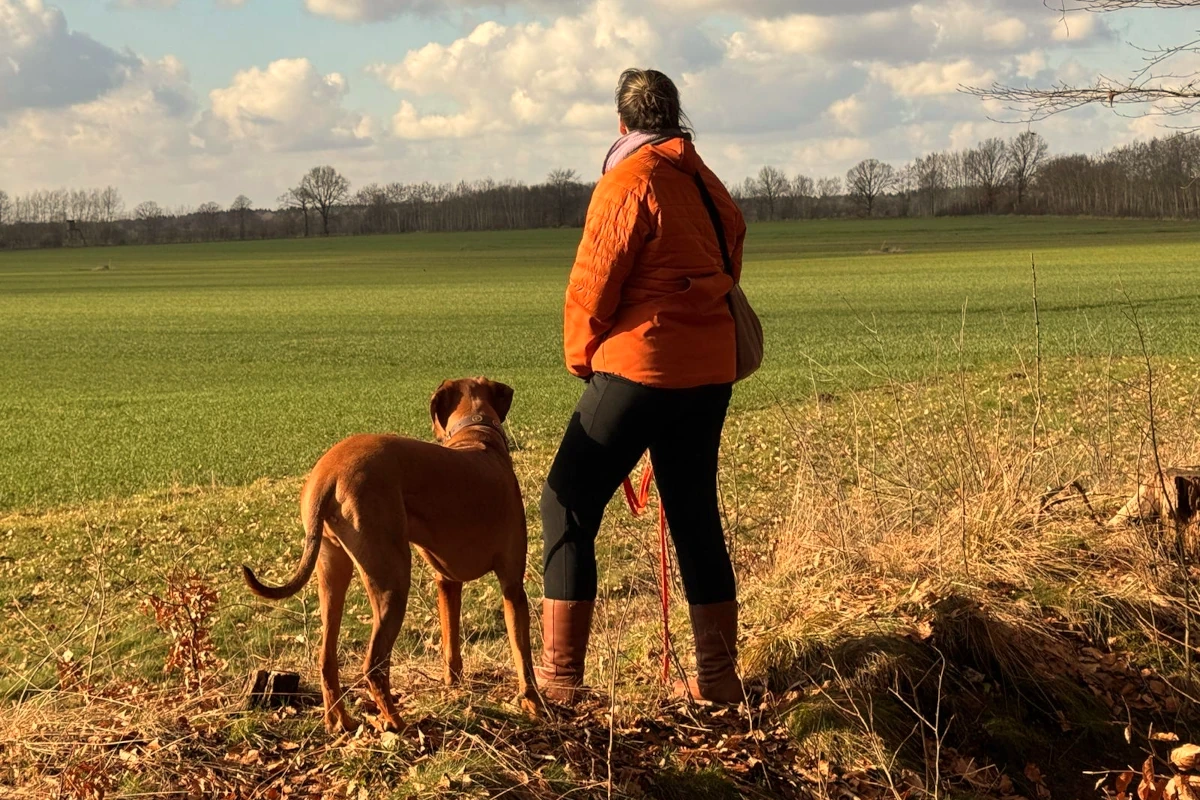 VioCanis Hundeschule – Trainingsphilosophie für Hunde und Halter