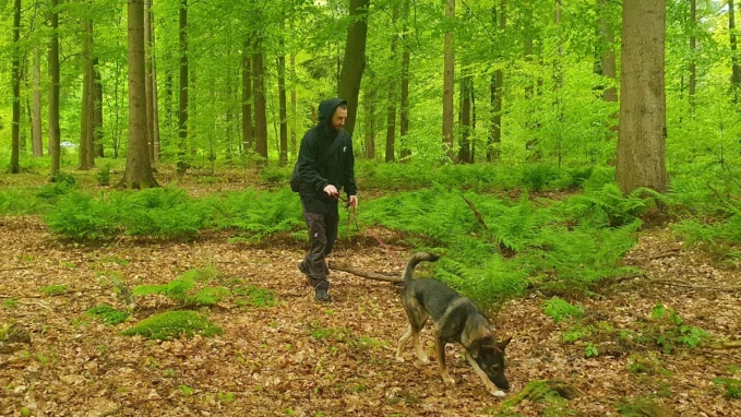 Fährtenworkshop für Hunde Schwanzenbek