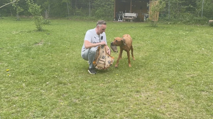 Hundeschule Hamburg