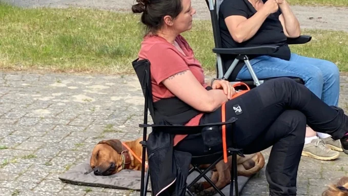 Hundeschule Schwarzenbek 11
