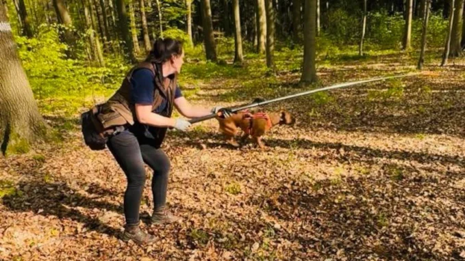 Hundeschule Schwarzenbek 13