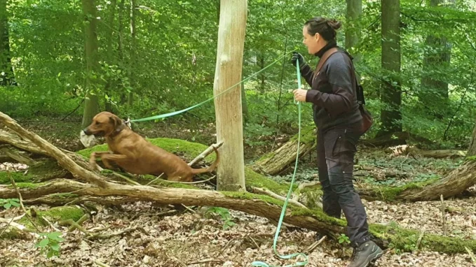 Hundeschule Schwarzenbek 2