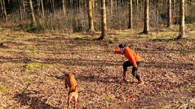 Hundeschule Schwarzenbek 7
